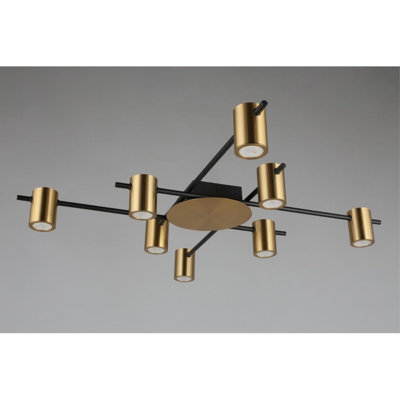 Картинка Потолочная люстра Aployt Elwisia APL.633.07.08