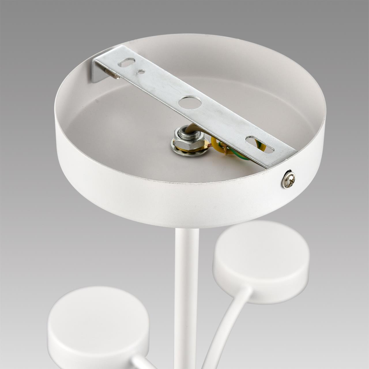 Картинка 8265/12 Lumion Люстра TORINA