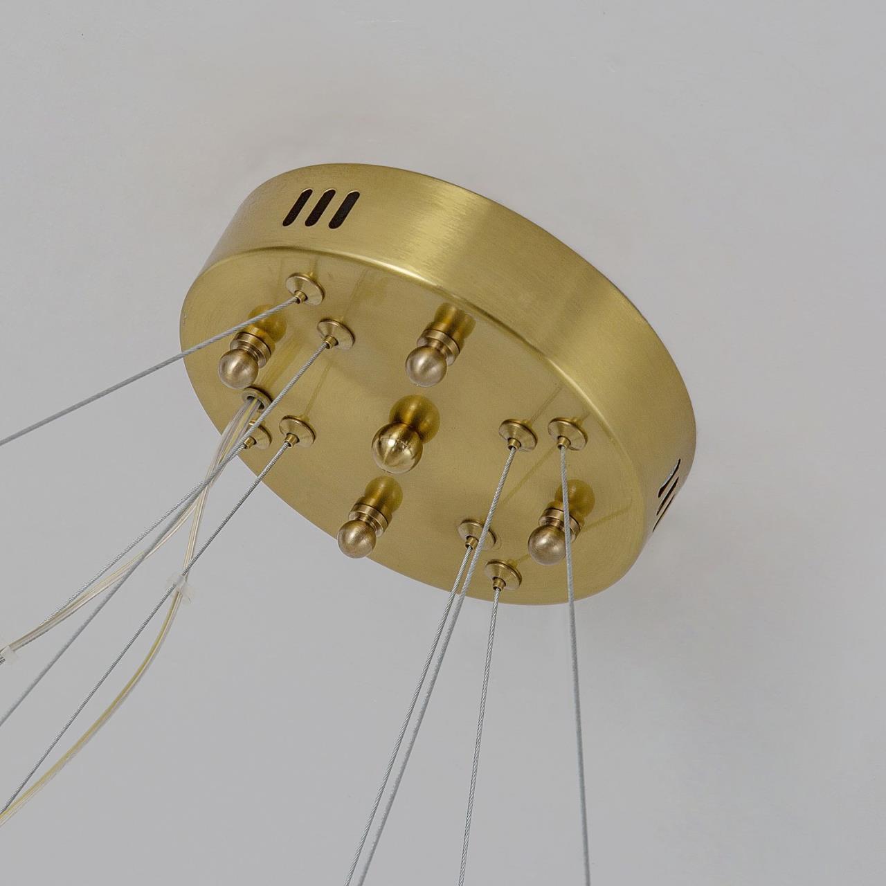 Картинка Подвесной светильник Placerat 4012-12P