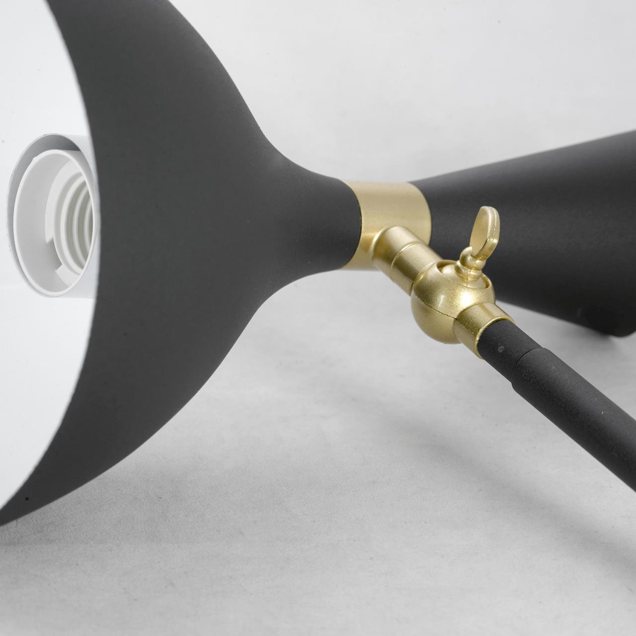 Картинка Торшер Lussole  LSP-0626