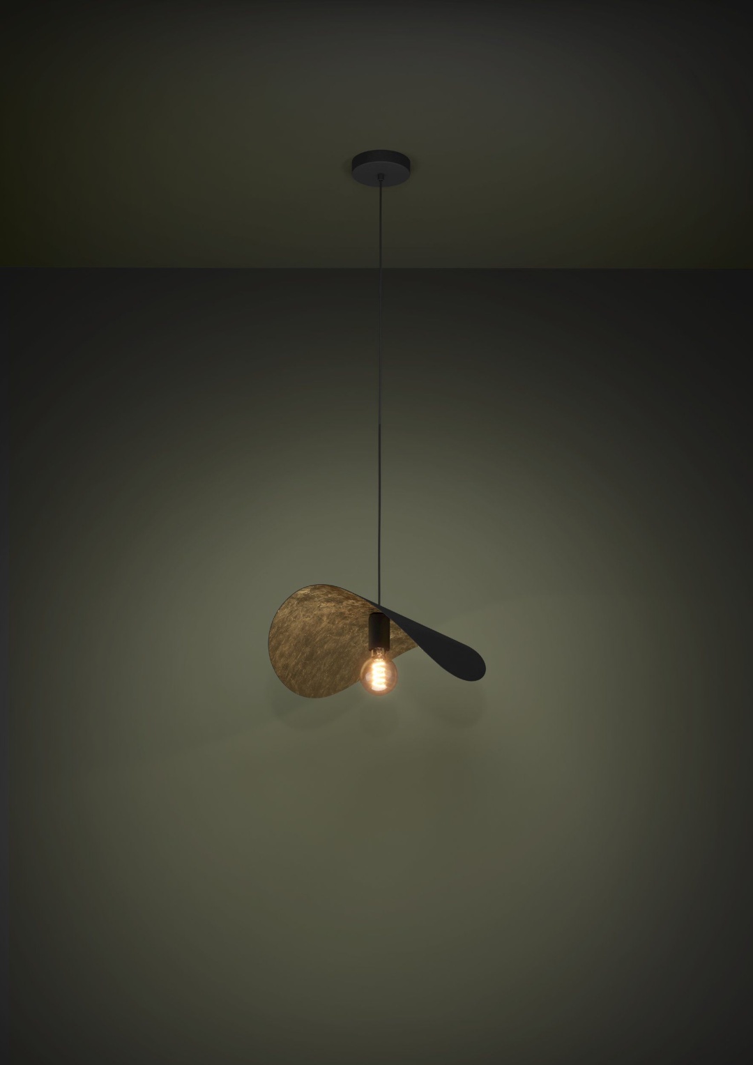 Картинка 390393 Светильник подвесной SACEDA