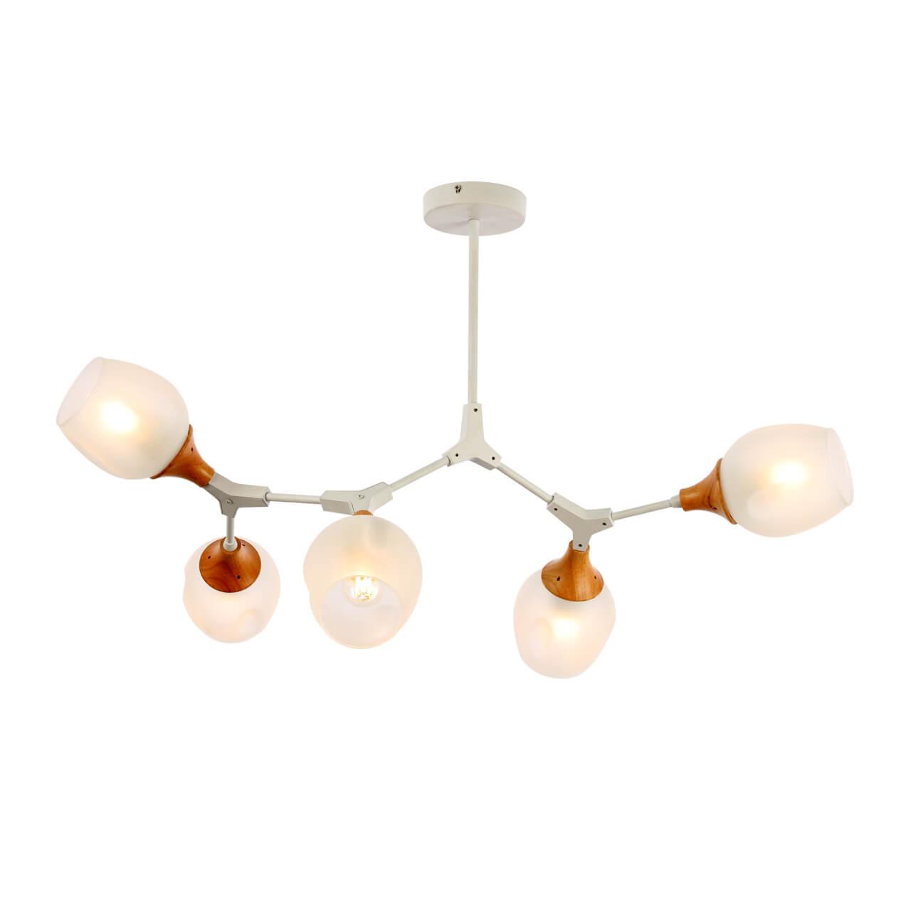 Картинка Потолочная люстра Evoluce Ciotolla SLE113502-05