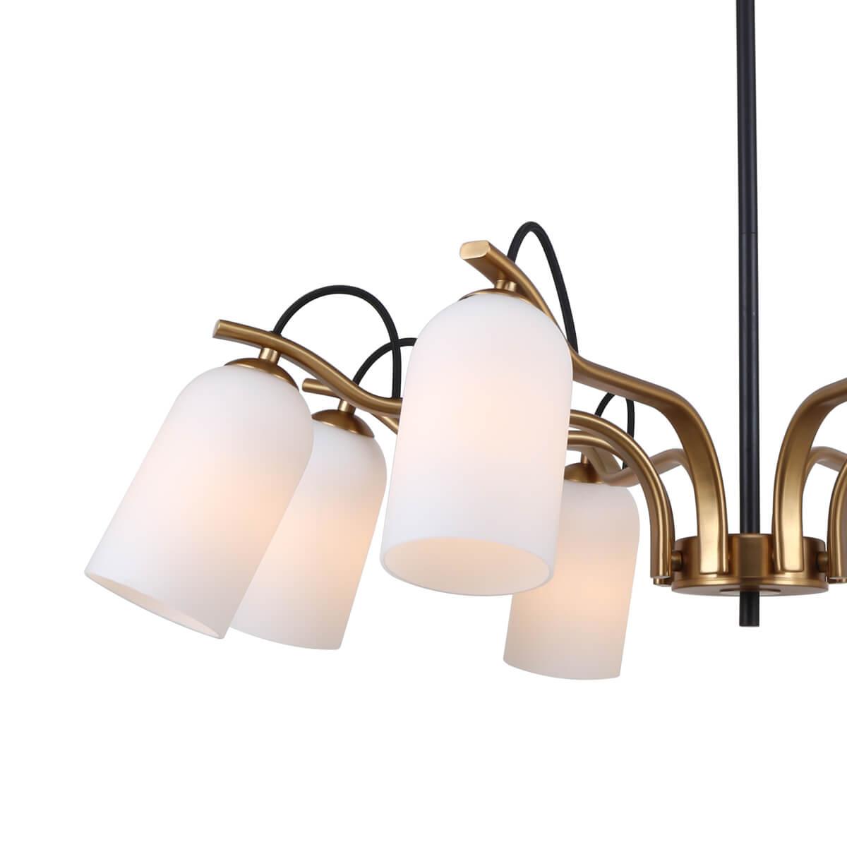 Картинка Подвесная люстра Favourite Grover 2668-8P