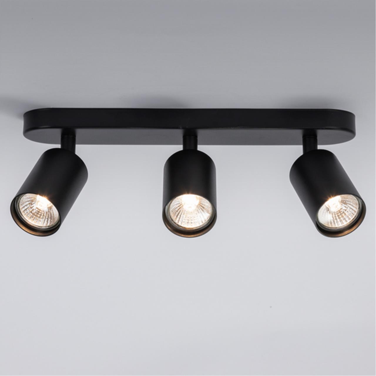 Картинка Потолочный светильник Arte Lamp AQUARIUS A3226PL-3BK