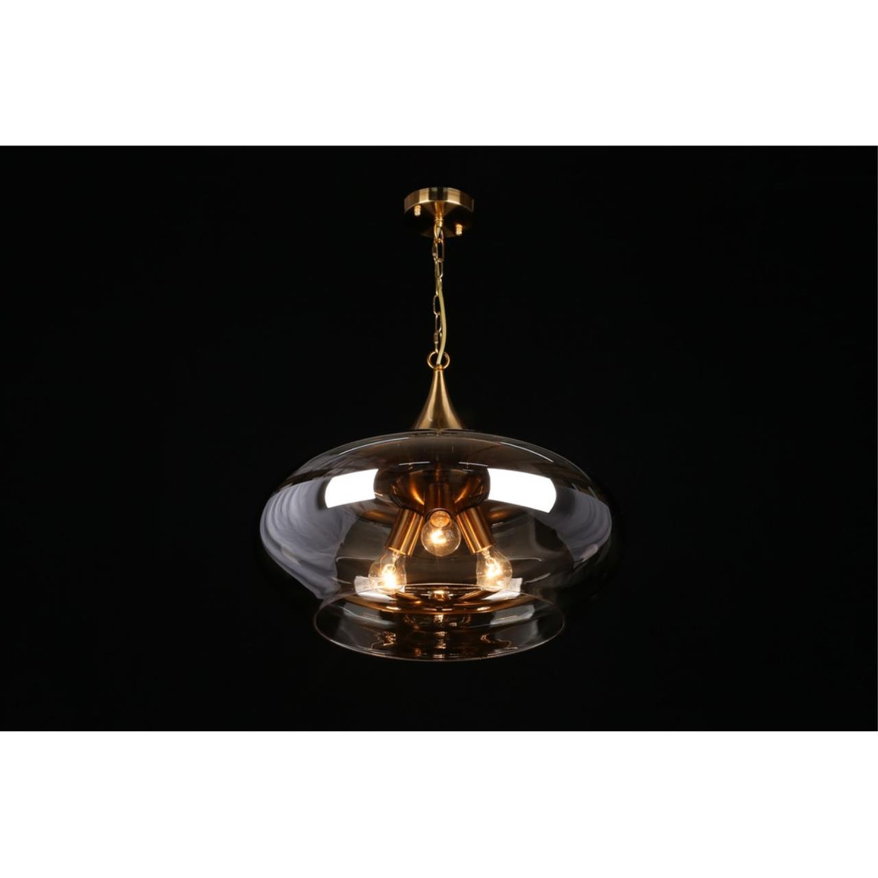 Картинка Подвесная люстра Aployt Franko APL.601.16.03