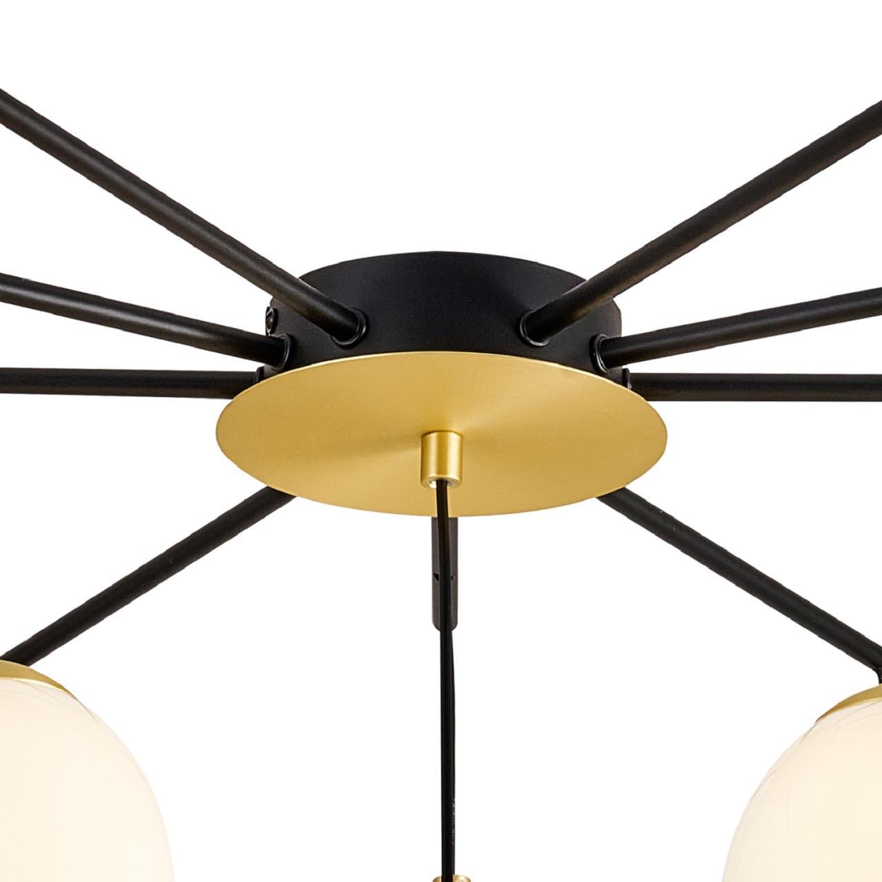 Картинка Потолочный светильник Paramount 3047-10P