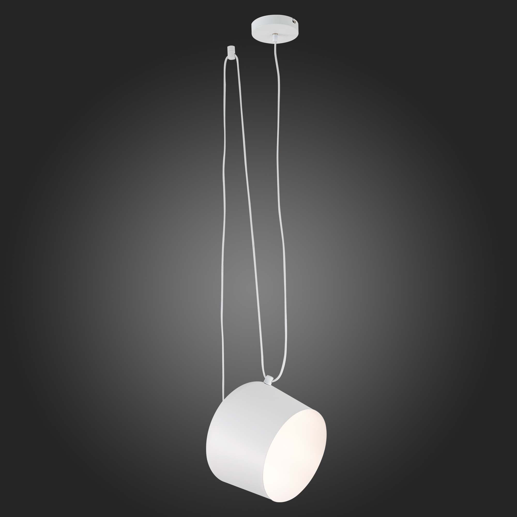 Картинка Подвесной светильник Evoluce Trieste SLE120653-01