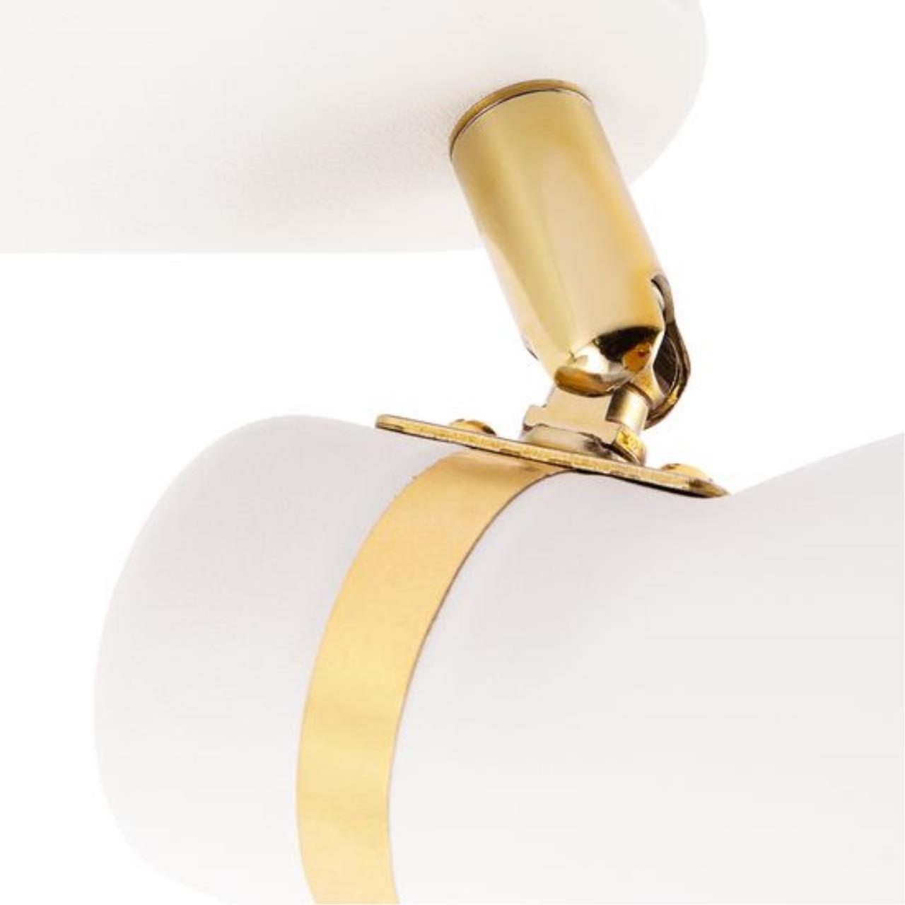 Картинка Потолочный светильник Arte Lamp FAFNIR A5047PL-2WH