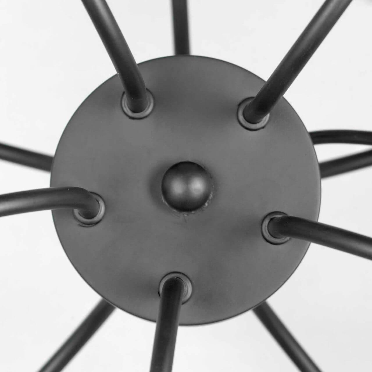 Картинка Подвесная люстра Lussole Lgo Roosevelt GRLSP-8198