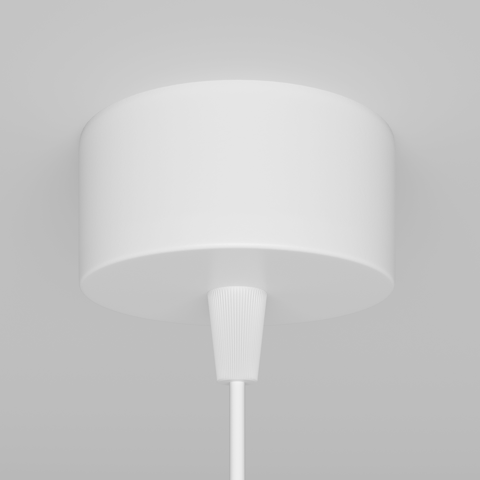 Картинка Подвесной светильник Technical P075PL-01W