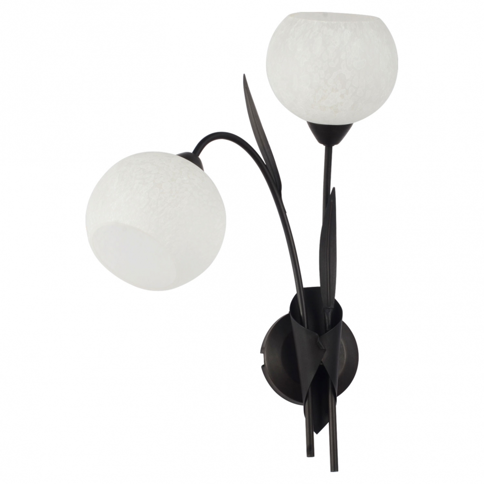 Картинка Бра Lussole Bagheria LSF-6291-02