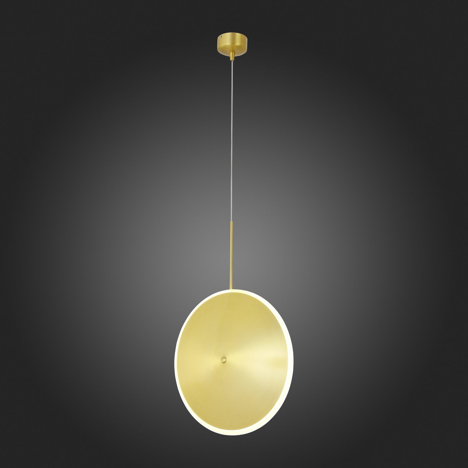 Картинка Подвесной светодиодный светильник ST Luce Imente SL1221.213.01