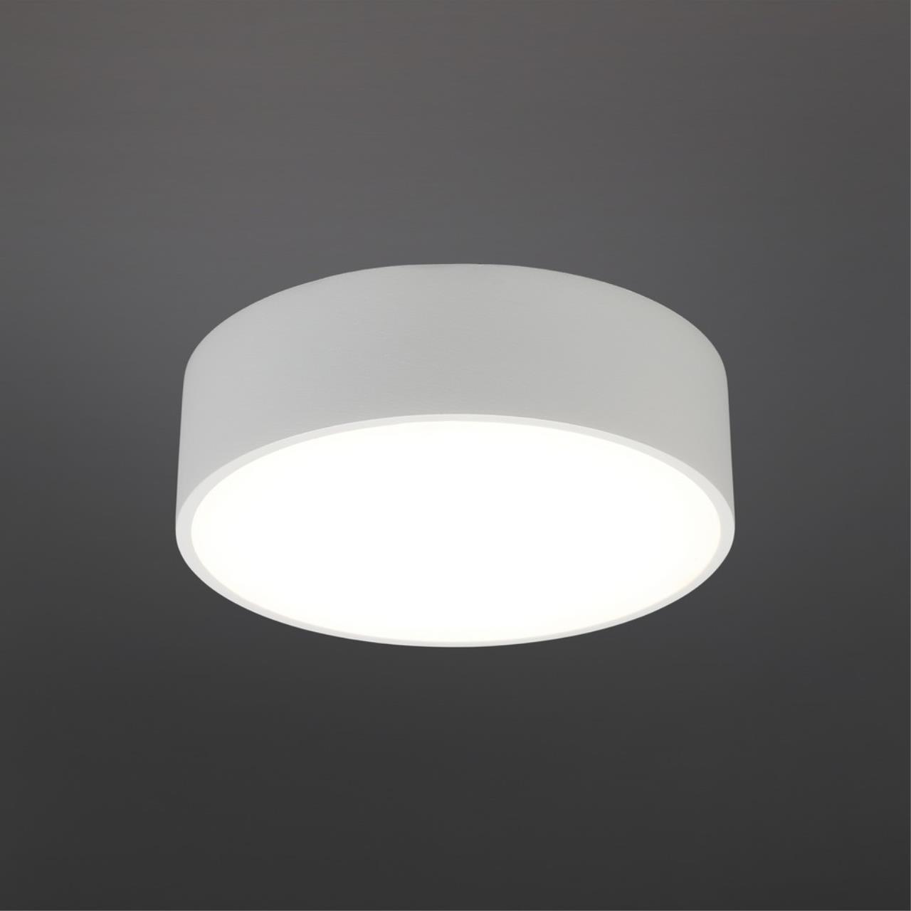 Картинка Потолочный светодиодный светильник Aployt Evon APL.0114.09.12