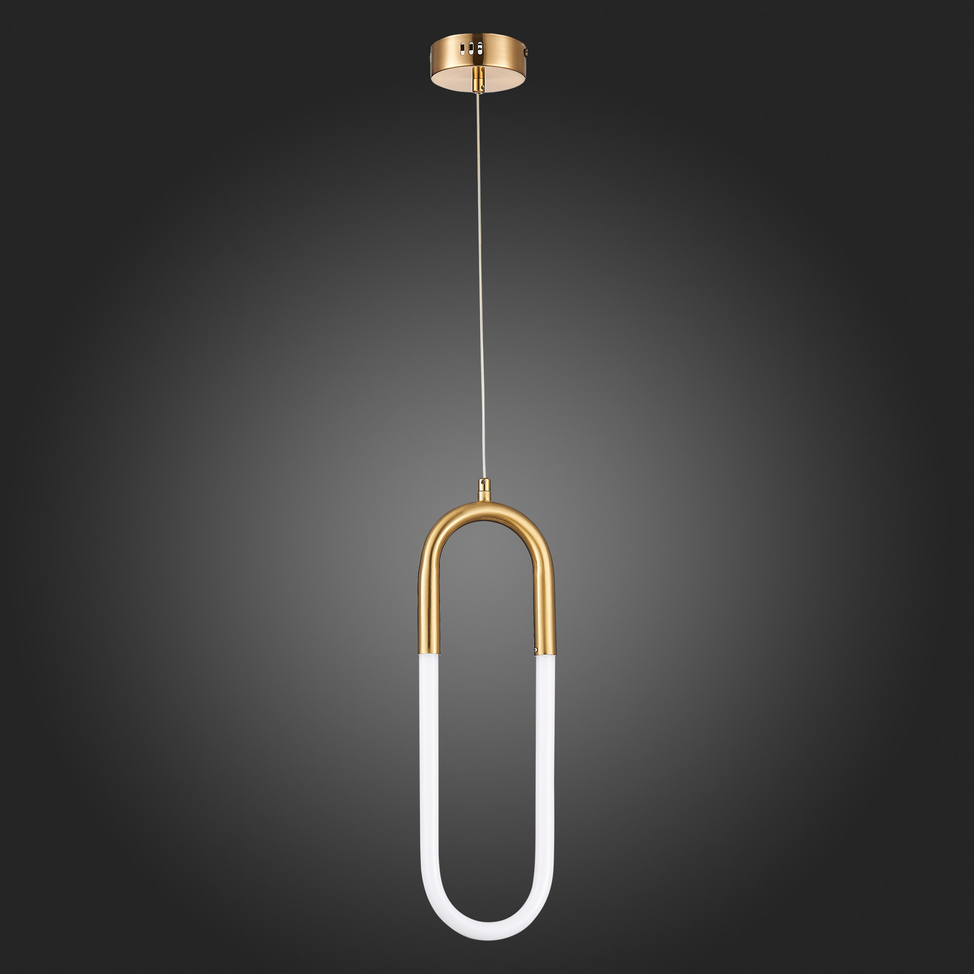 Картинка Подвесной светодиодный светильник ST Luce Mofisto SL1579.303.01