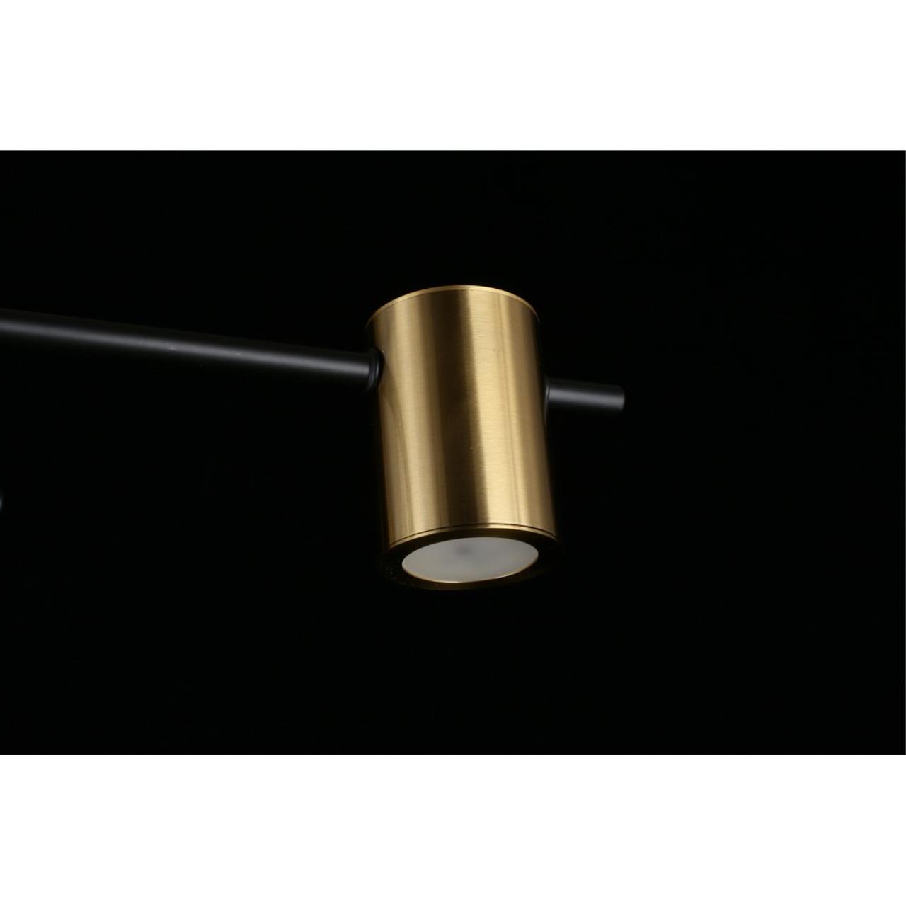 Картинка Потолочная люстра Aployt Elwisia APL.633.07.08