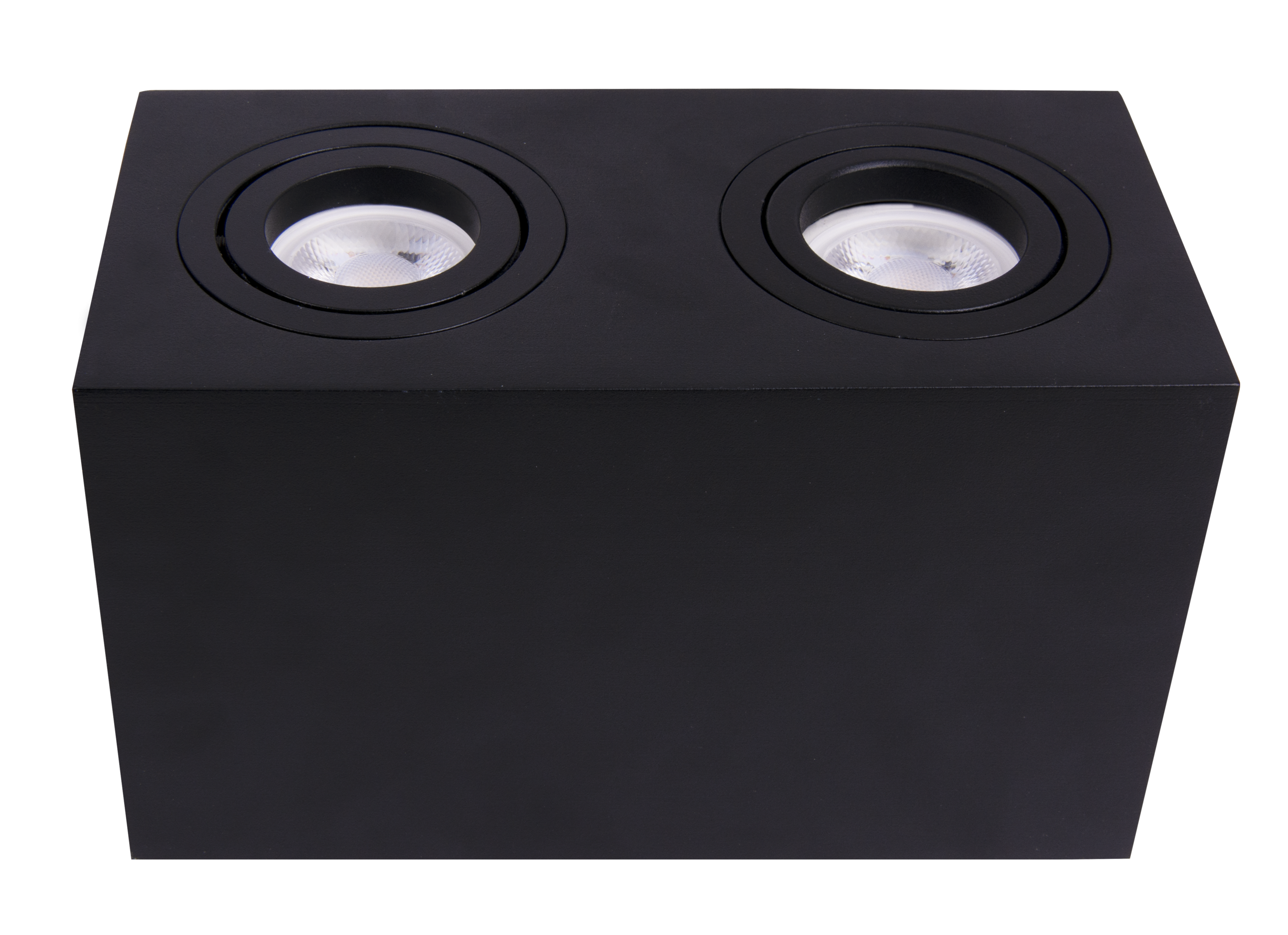 Картинка Потолочный светильник Technical C017CL-02B