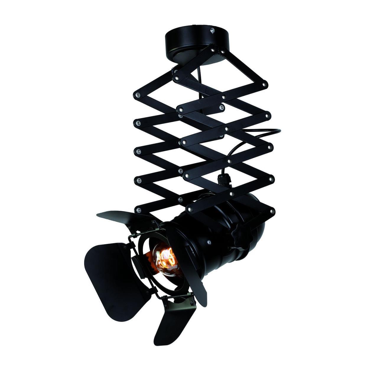 Картинка Подвесной светильник Favourite Limelight 2069-1U