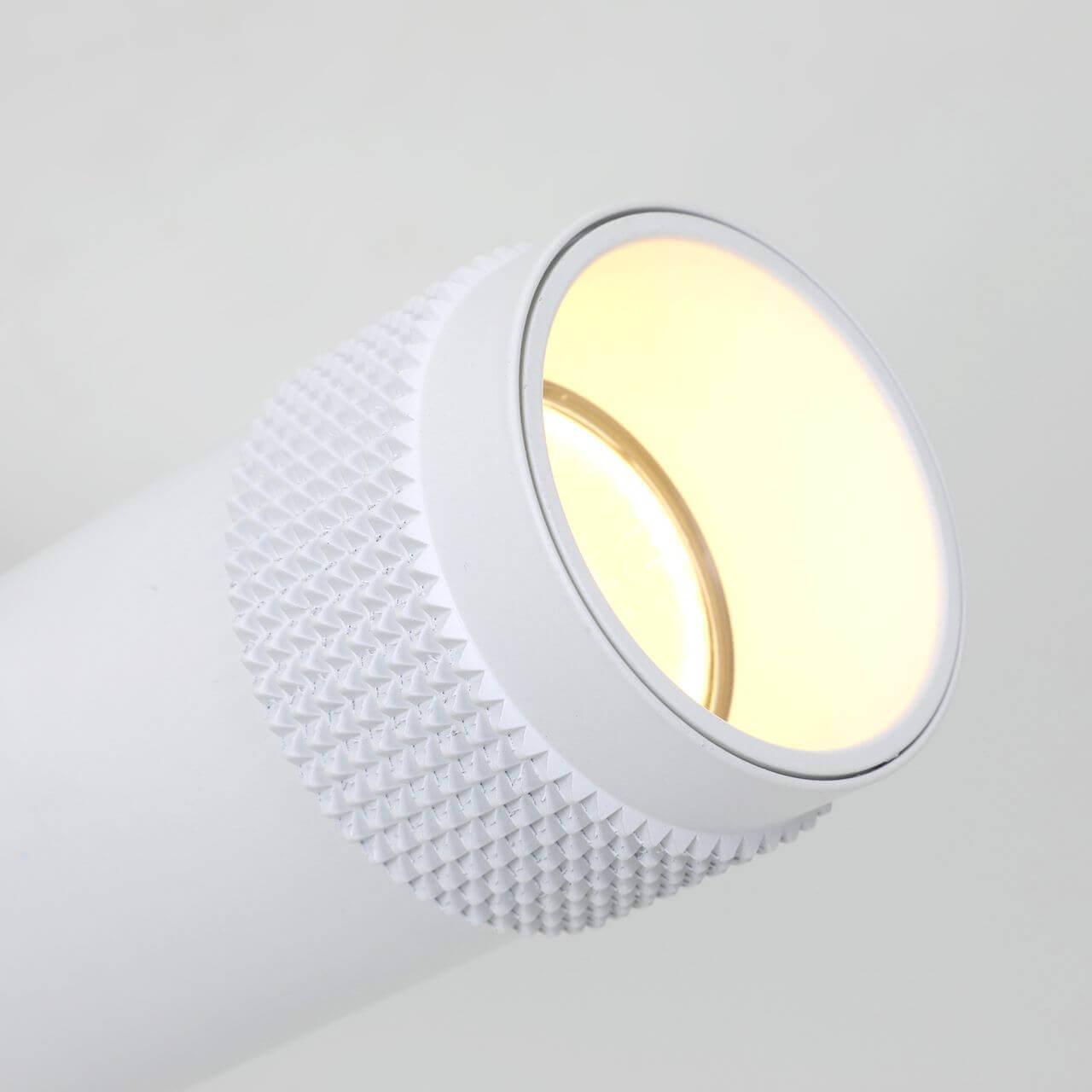 Картинка Спот Favourite Kinescope 2453-1U