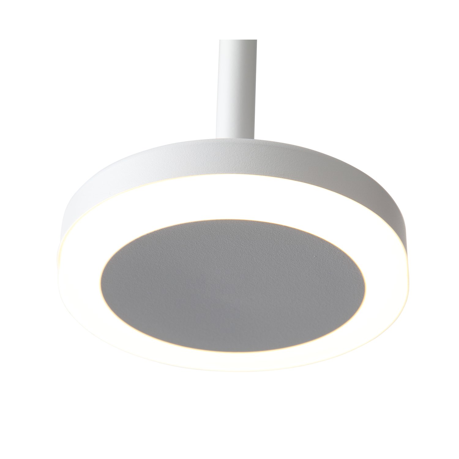 Картинка Подвесной светодиодный светильник ST Luce Ciamella ST104.503.06