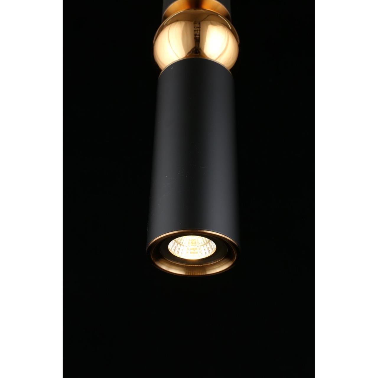 Картинка Подвесной светильник Aployt Brizhit APL.615.06.01