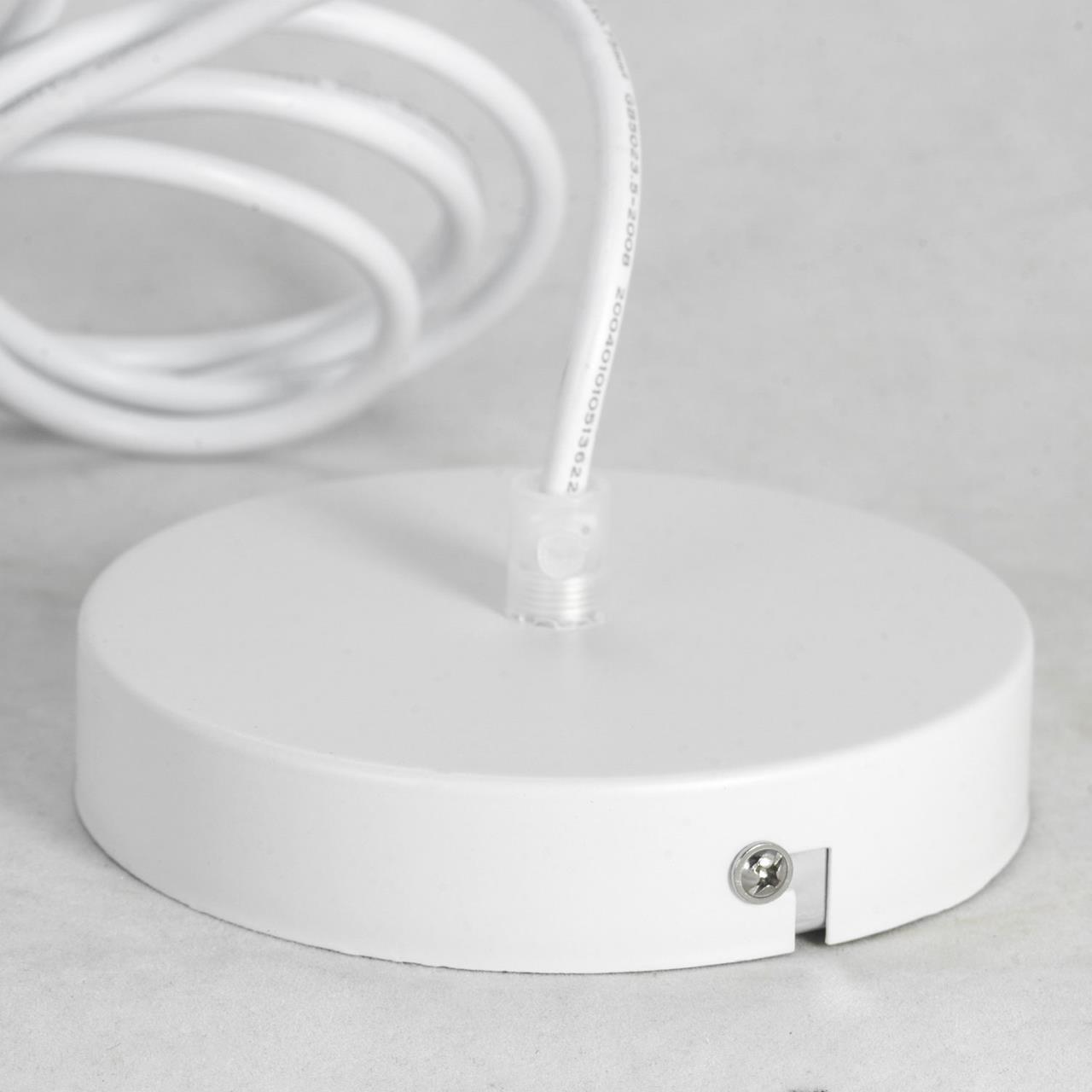 Картинка Подвесной светильник Lussole Lgo Dove GRLSP-8220