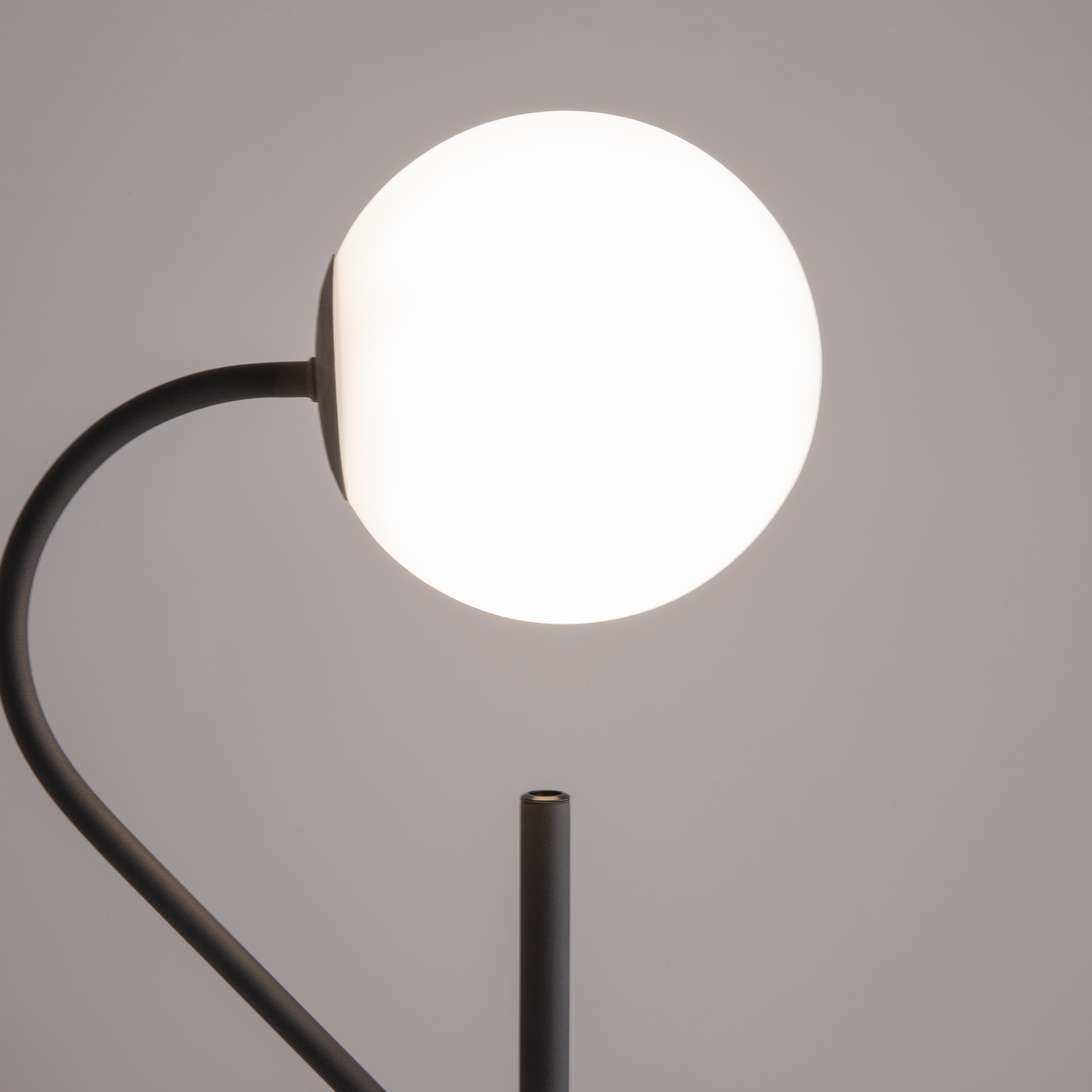 Картинка Напольный светильник (торшер) Maytoni MOD230FL-01B