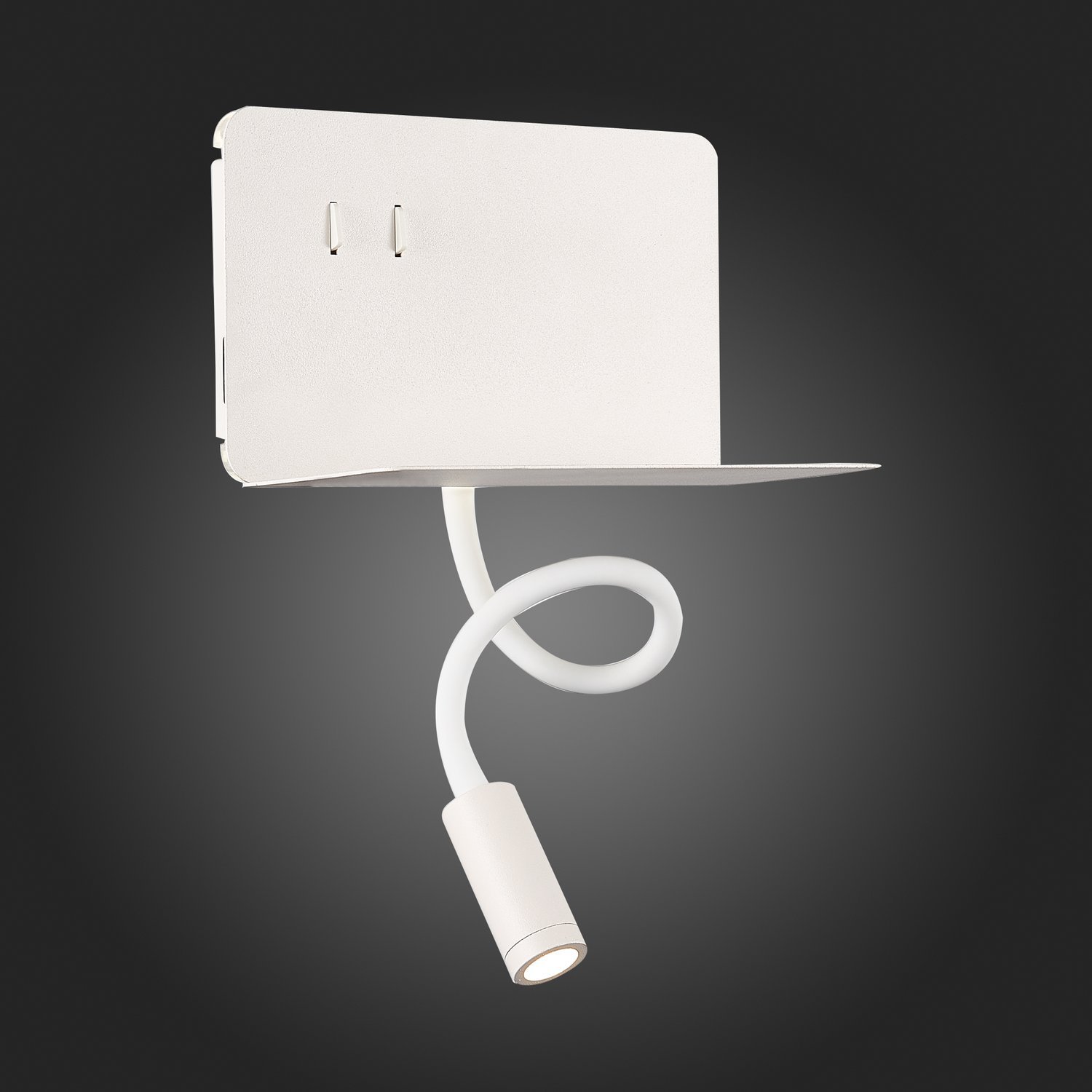 Картинка Настенный светодиодный светильник ST Luce Pinaggio SL1576.501.02