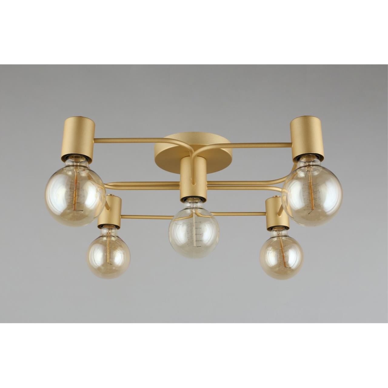 Картинка Потолочная люстра Aployt Elison APL.911.07.05