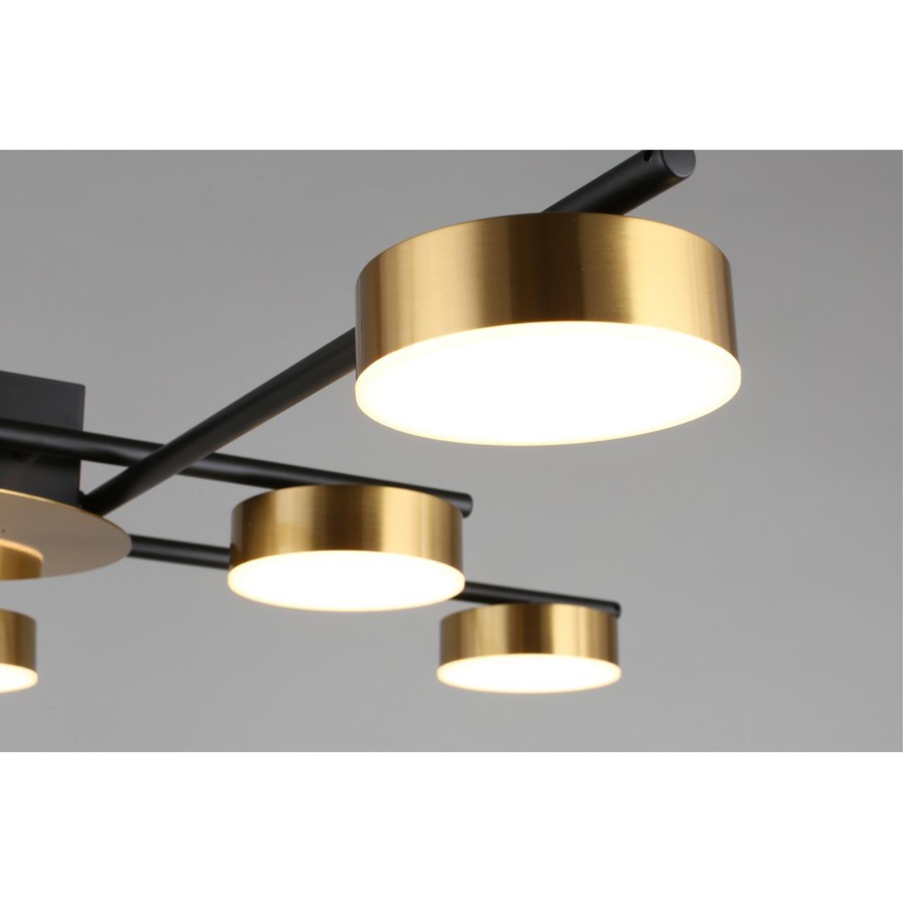 Картинка Потолочная светодиодная люстра Aployt Delayn APL.042.07.56