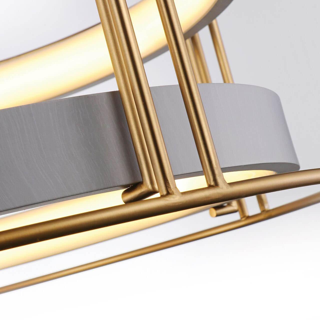 Картинка Подвесной светодиодный светильник Favourite Minor 2203-2P