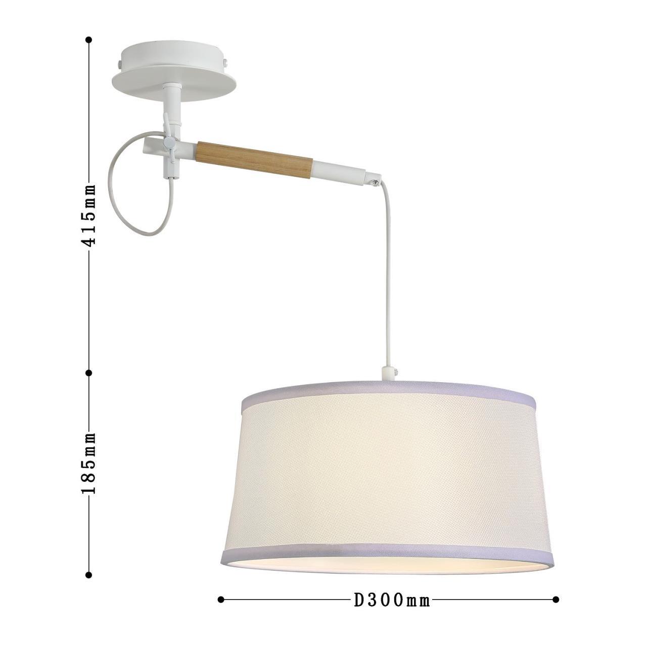 Картинка Настенно-потолочный светильник Eureka 3005-1P