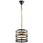 Картинка Подвесной светильник Lightstar Epsilon 735010