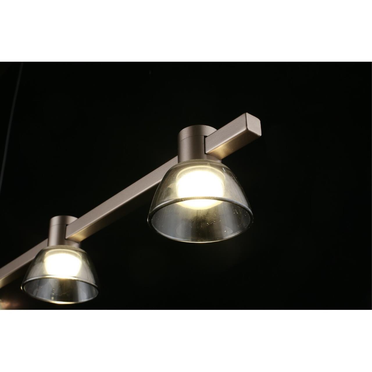 Картинка APL.788.03.06 Светильник подвесной Aployt Rezeda