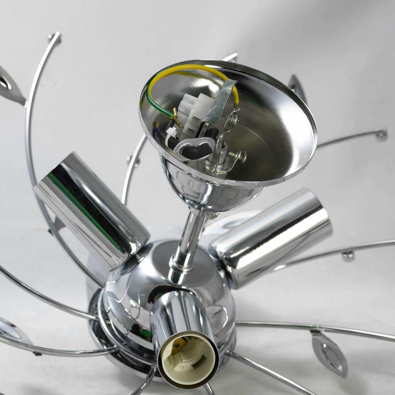 Картинка Потолочная люстра Lussole Lgo GRLSP-0185