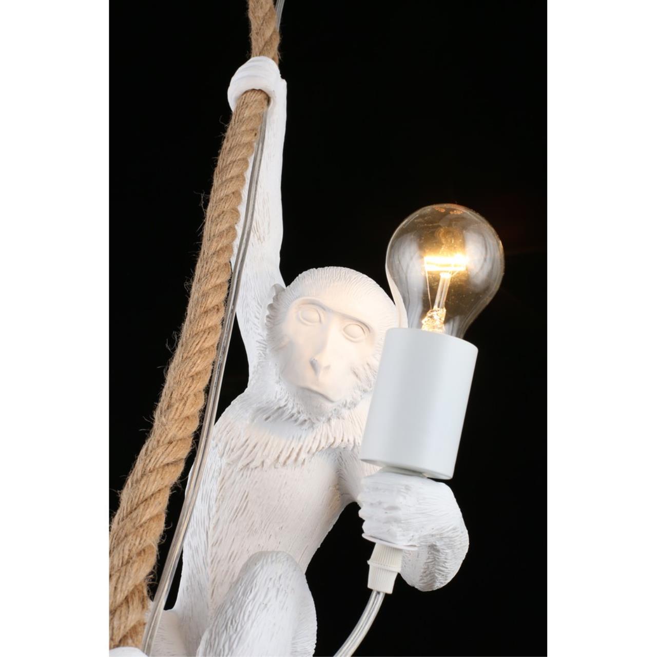 Картинка Подвесной светильник Aployt Magali APL.309.06.01