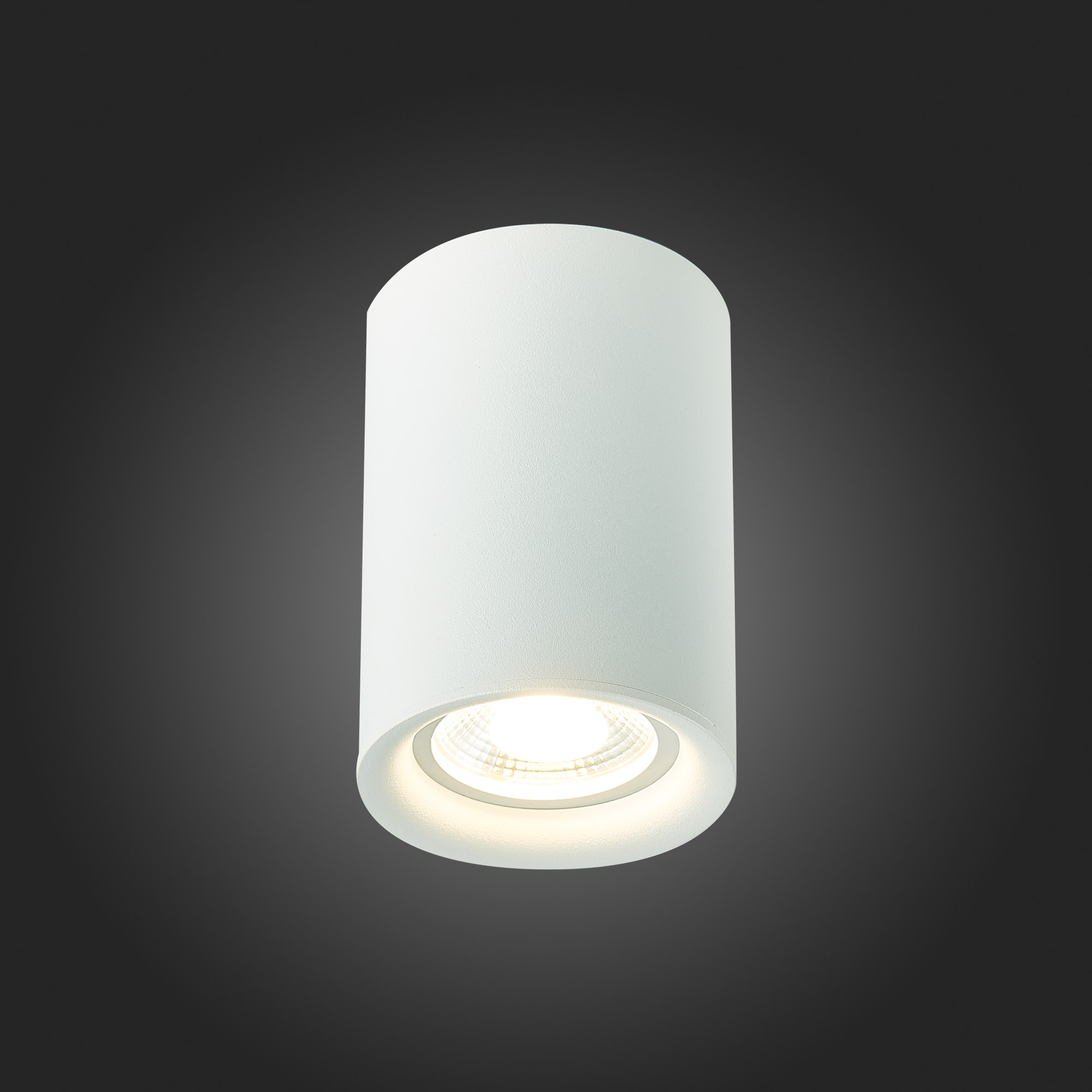 Картинка Потолочный светильник ST Luce ST114.507.01
