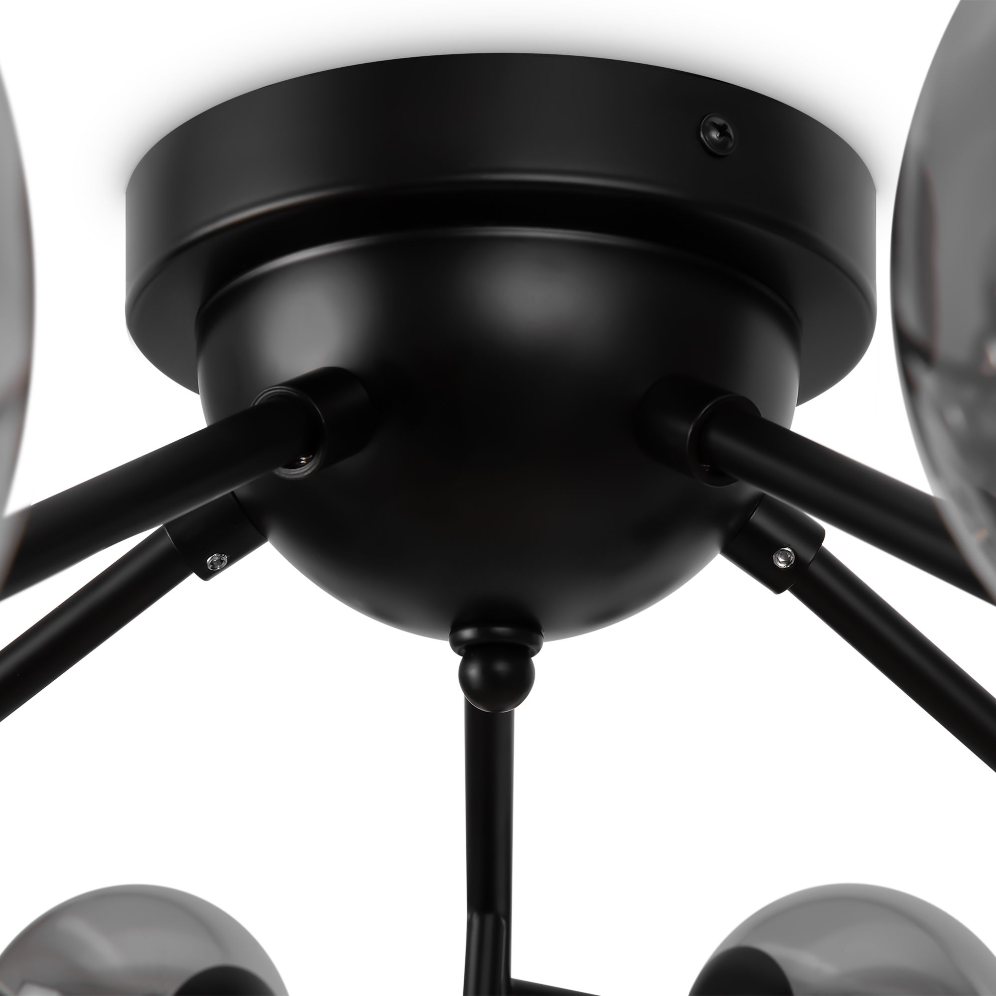 Картинка Потолочная люстра Maytoni MOD545CL-20B