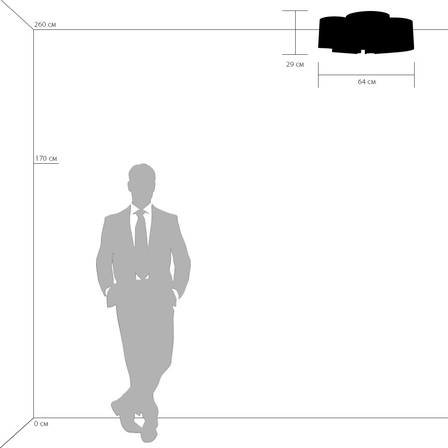 Картинка Потолочная люстра Lightstar Simple Light 811 811052