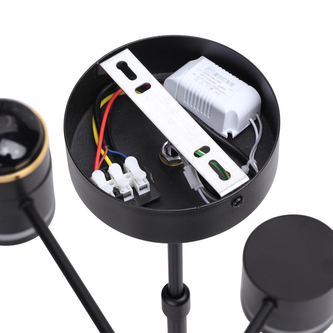 Картинка 8234/6C Lumion Подвесная люстра VIRSAVA