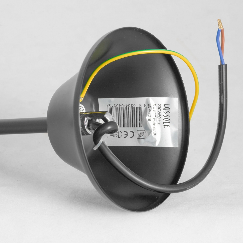 Картинка Подвесная люстра Lussole Lgo Lattice GRLSP-8216