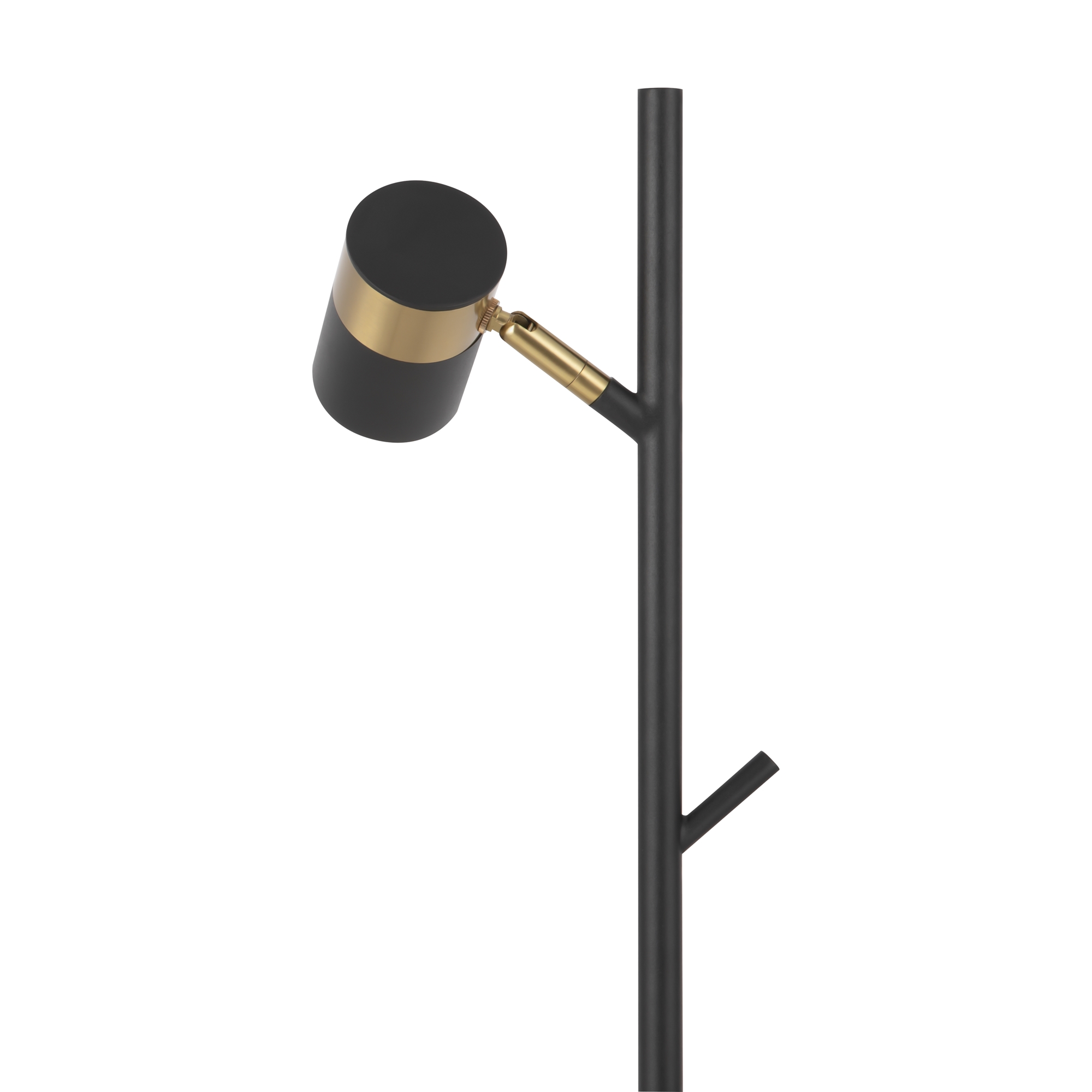 Картинка Напольный светильник (торшер) Freya FR5201FL-01B