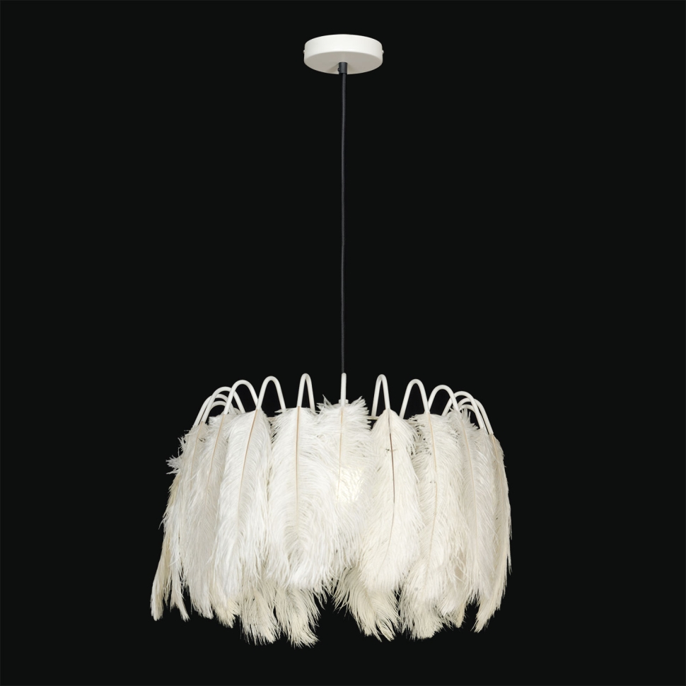 Картинка Люстра Lussole GRLSP-8600