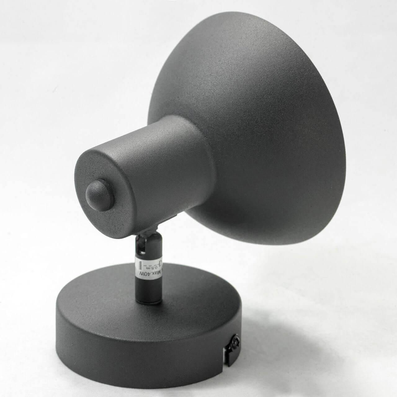 Картинка Спот Lussole Loft LSP-9973