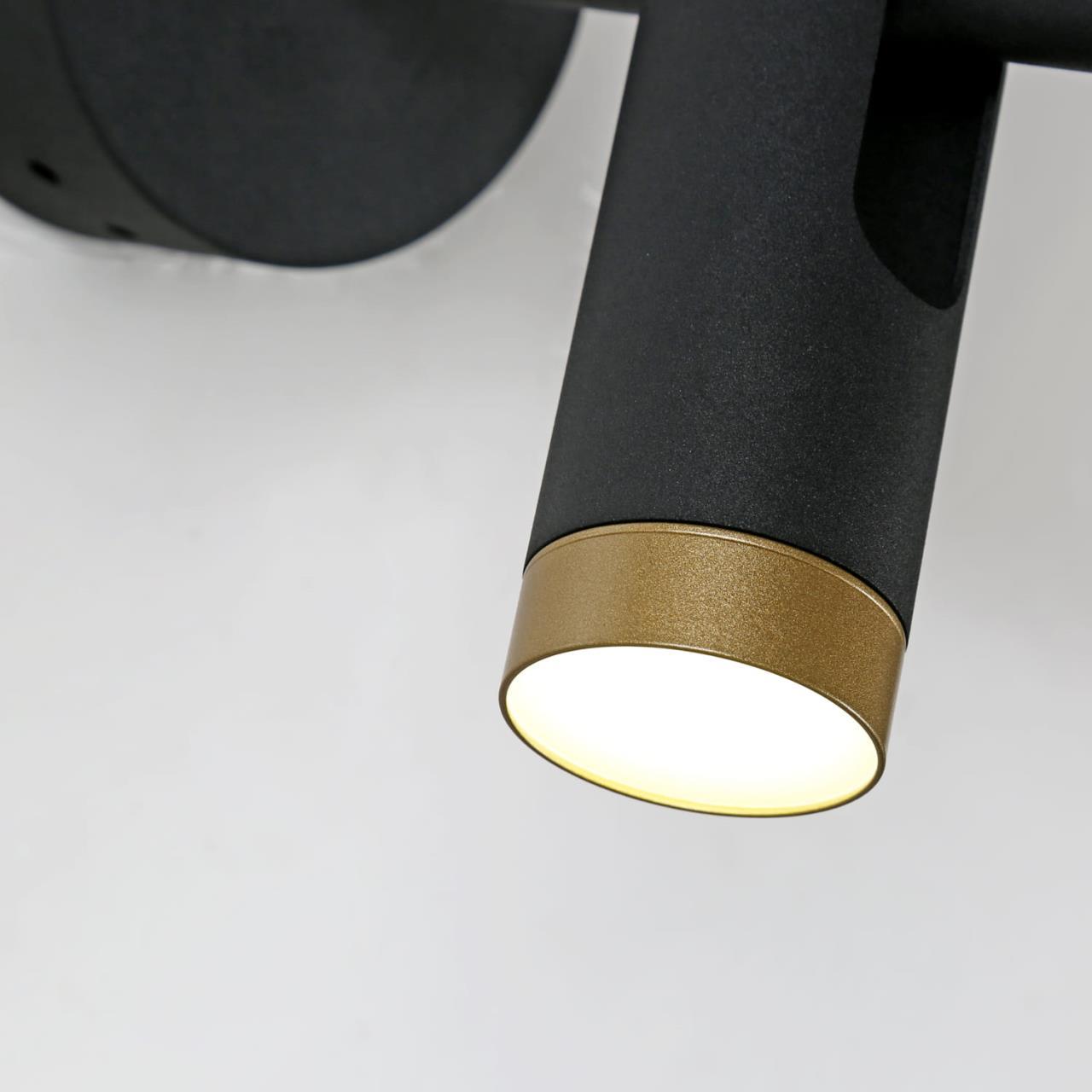 Картинка Светодиодный спот Favourite Duplex 2324-2W