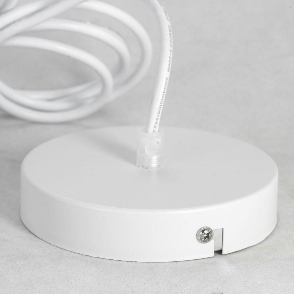 Картинка Подвесной светильник Lussole Lgo Dove GRLSP-8220