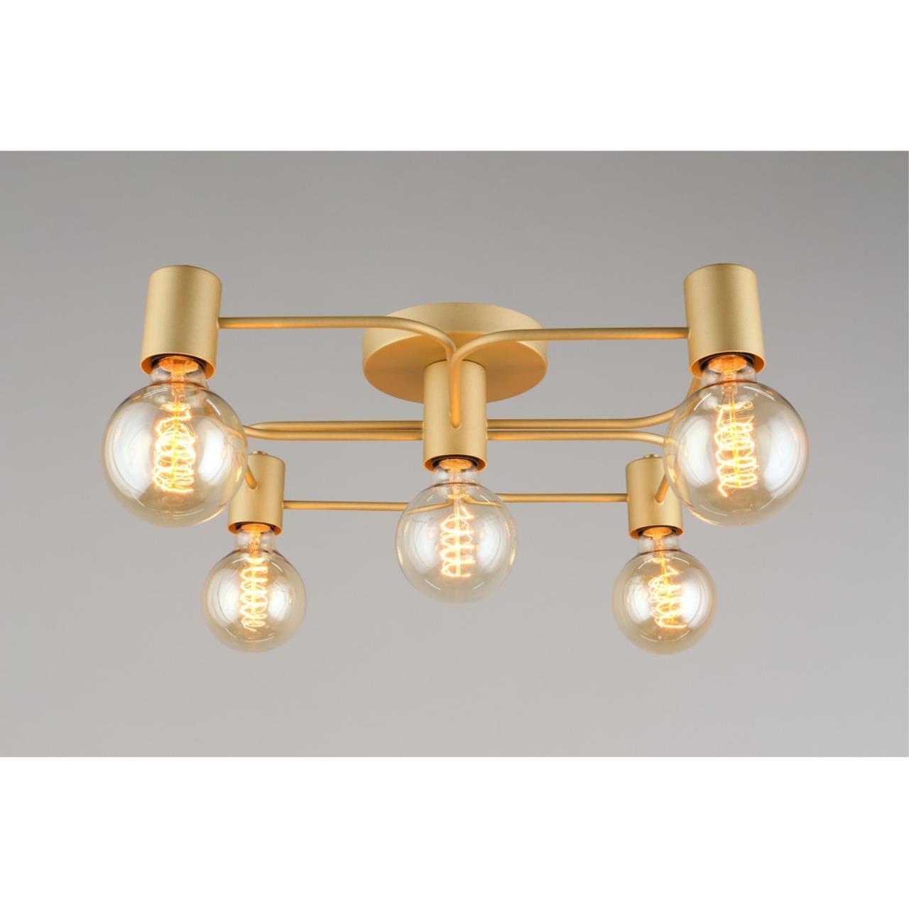 Картинка Потолочная люстра Aployt Elison APL.911.07.05