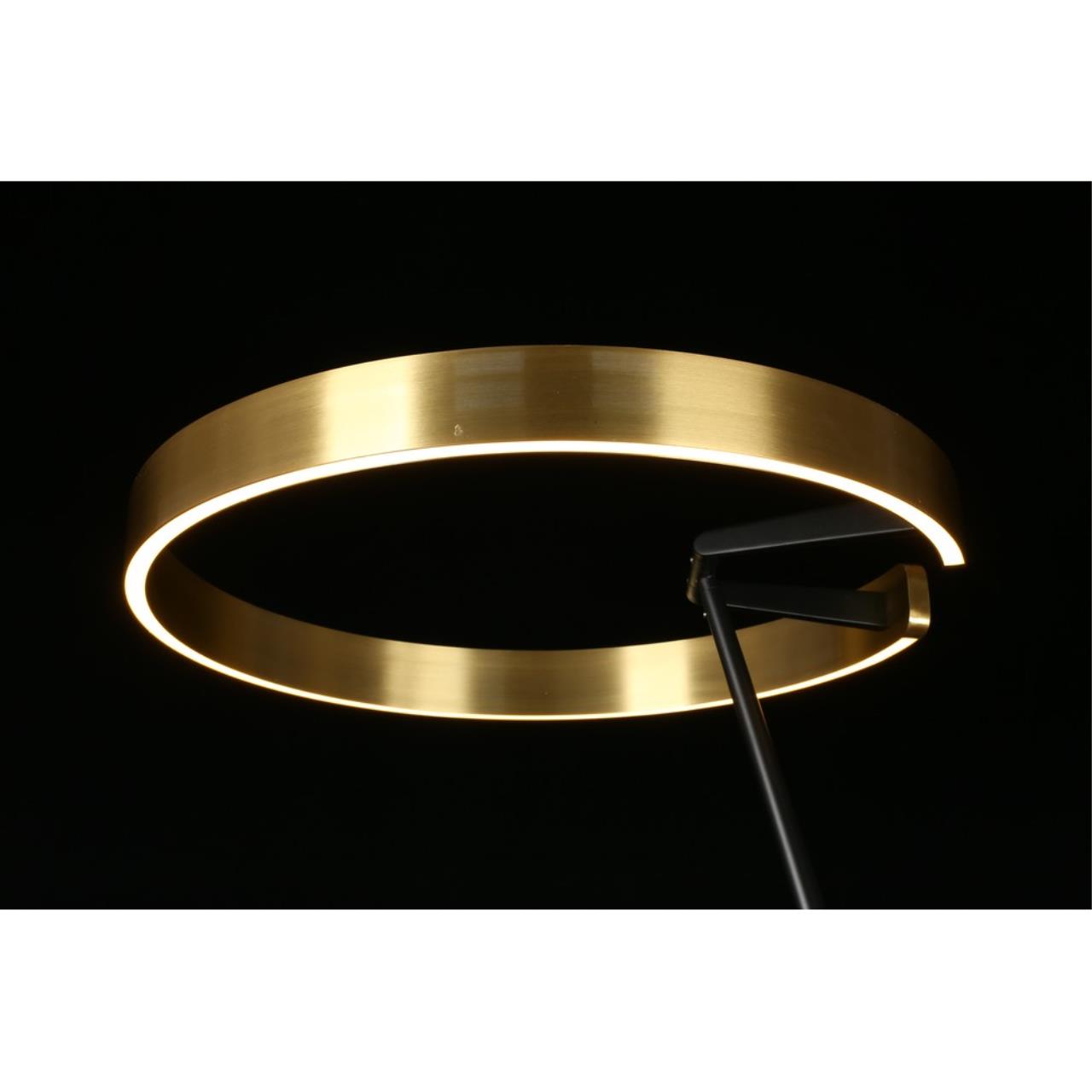 Картинка APL.653.05.30 Торшер Aployt Leonn