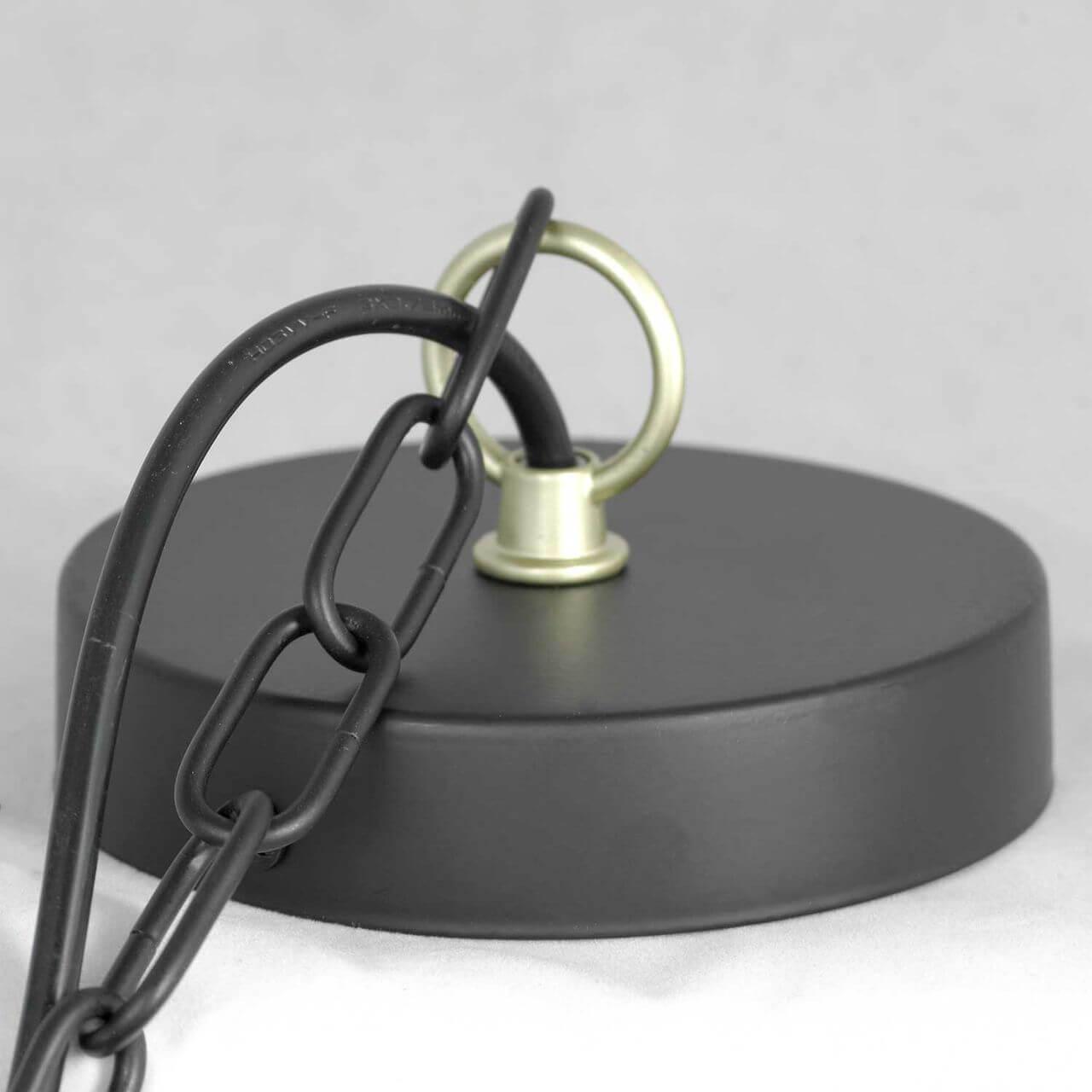 Картинка Подвесная люстра Lussole Lgo Roosevelt GRLSP-8198