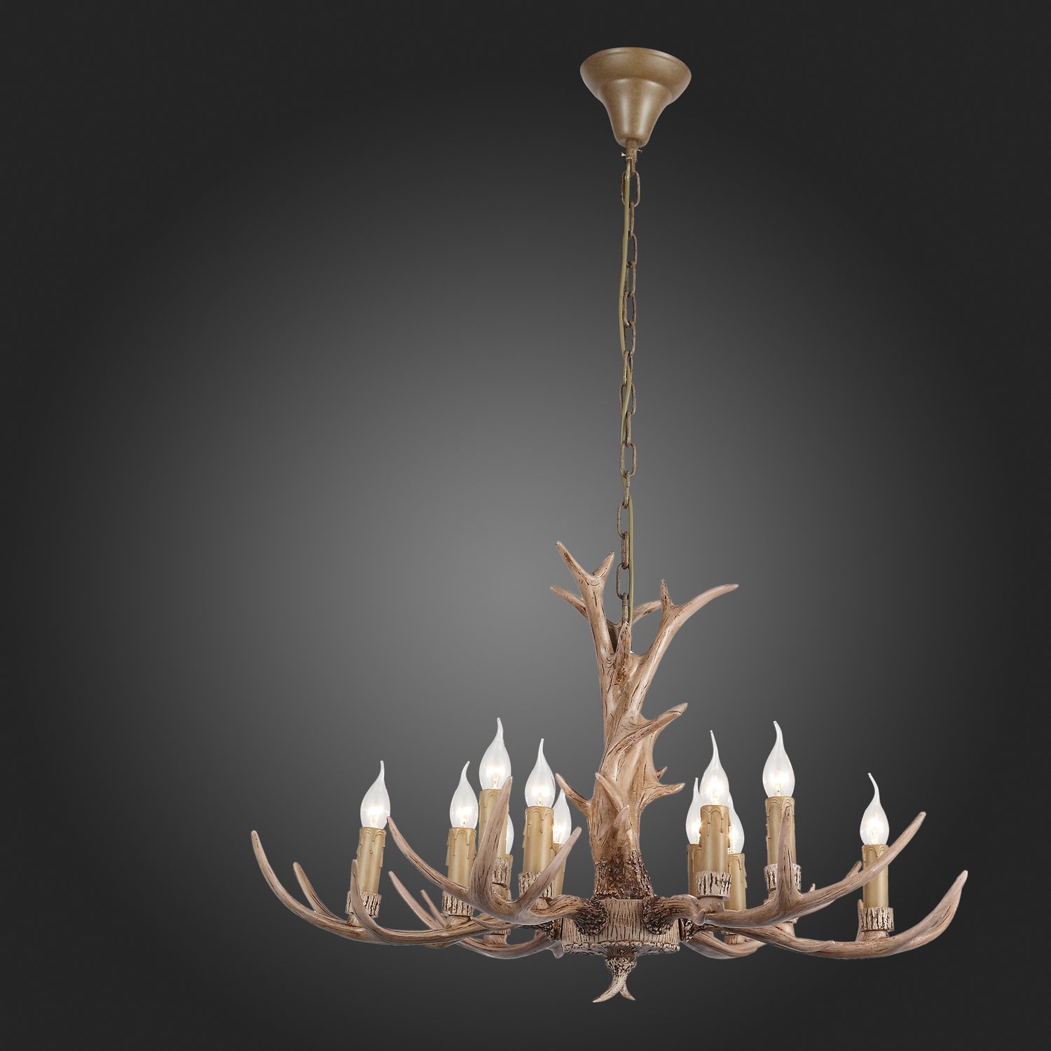 Картинка Подвесная люстра ST Luce Renna SL153.703.12