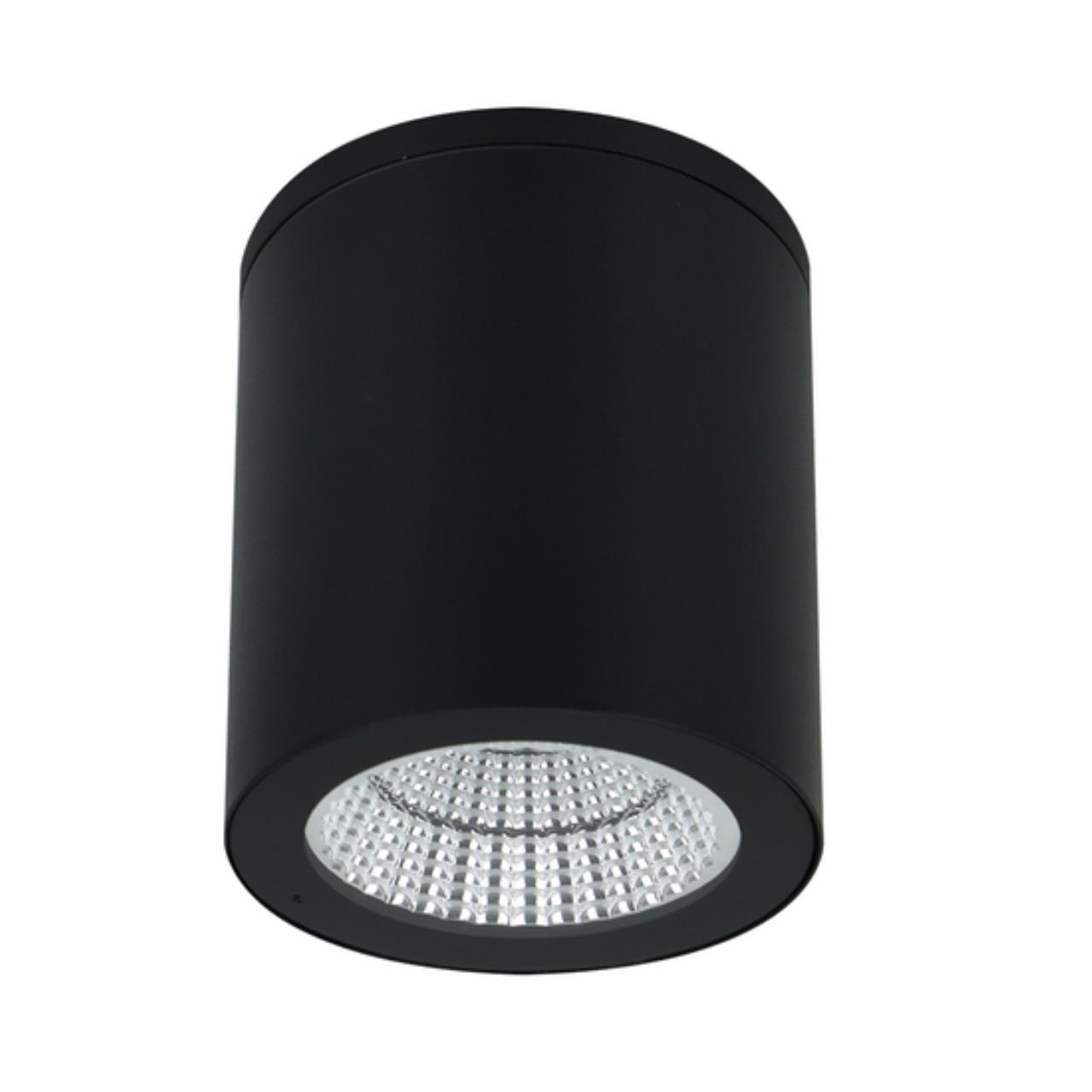Картинка Уличный потолочный светильник Arte Lamp TORCULAR A1313PF-1BK